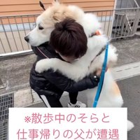 パパに抱きつくそら君