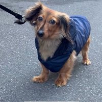 ラホちゃんとの出会いと現在8