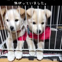 寄り添う2匹