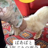 おばあちゃん、ずっと大好き
