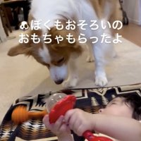 赤ちゃんも遊んでいます