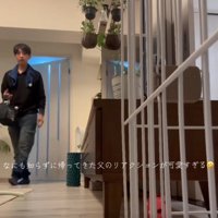 ケージを見るお父さん