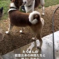 徐々に心の安定を取り戻す