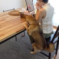 気になりすぎてジャンプ！