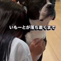 「いつでも味方だよ」