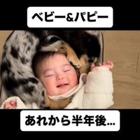 乳児の頭に丸まってくっつく犬