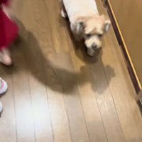 予想に反して大歓迎
