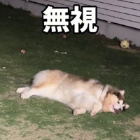 深夜2時の奇行！？