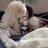 いないなんて考えられない