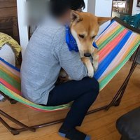 お父さんと一緒に乗ってみます