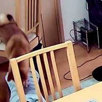 なるべく痛くないように…