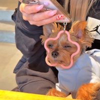 お目目がショボショボ…