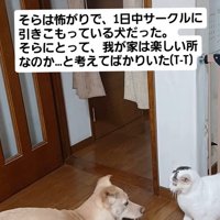 そらちゃんの変化3