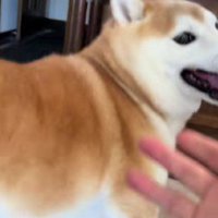 はじけるような笑顔