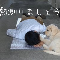 熱を測っている？