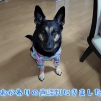 目の前まで来て直談判