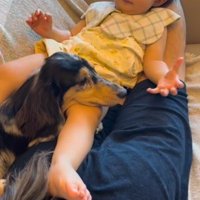 子どもの脚の上に顎を乗せる犬