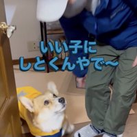 表情の変わりっぷりがすごい