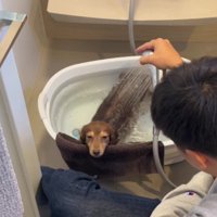 お風呂に入っていた