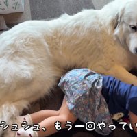 注目されると照れちゃう