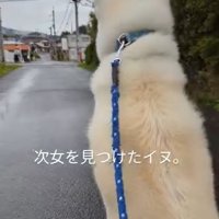 お座りするこうたろう君