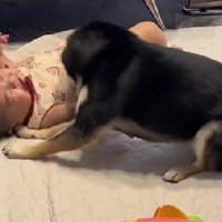 「頑張れ頑張れ！！」