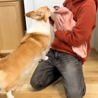前のめりで匂いをクンクン♪