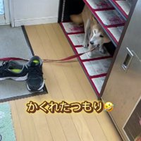 最終的に選んだ避難場所は…