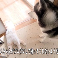 はっちゃんとじゅんちゃん