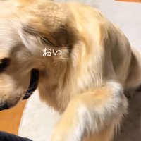 甘えん坊なＱ太くん