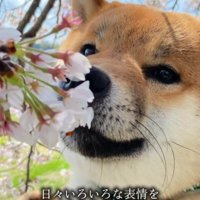 たくさんの表情を見せてくれるように