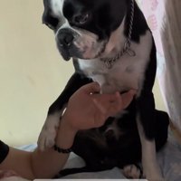 お姉ちゃんへの愛を感じます