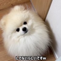 「してないのね」と認めてあげたら…