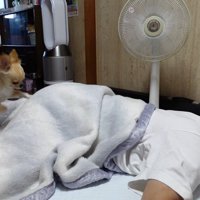 全力でおしりをホリホリ！