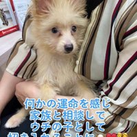強く運命を感じた