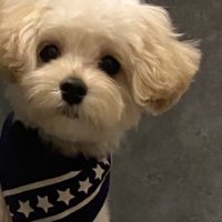 「ぼくを…おいてくの…？」