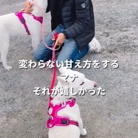 マナちゃんの現在までの軌跡9