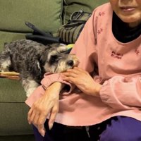 自分の腕にあごを乗せる犬を見て、笑顔になるおばあちゃん
