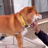 再会の喜びを分かちあう2人