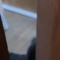 大型犬2頭がストッパーに…