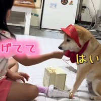 ハンバーガーショップの店員さん