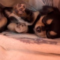 不思議な体勢でフリーズ！？