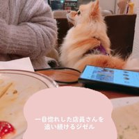店員さんが動くと…