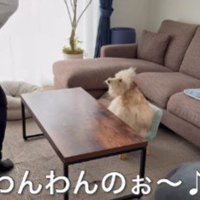 大好物の白菜をプレゼント