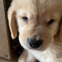 不貞腐れたお顔も可愛い♡