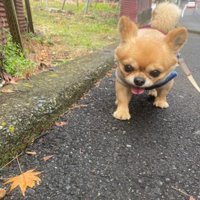 お花が好きな可愛い面も♡