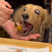 衝撃