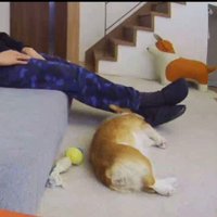 そのまま寝ちゃった(笑)