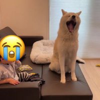 「そんなこと言われてもなあ…」