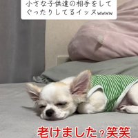 ぐったりの凛くん